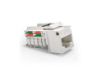 imagem de Conector Femea Sohoplus Cat6 Branco T568a/B - 35050424